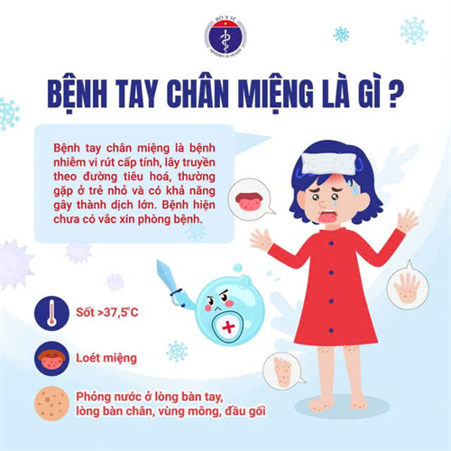 TĂNG CƯỜNG PHÒNG, CHỐNG BỆNH TAY CHÂN MIỆNG